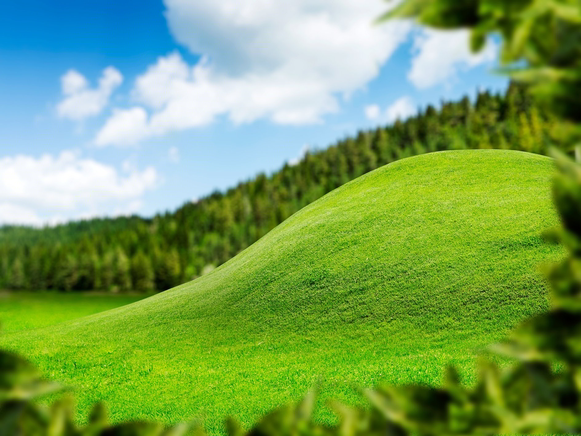 Green hill