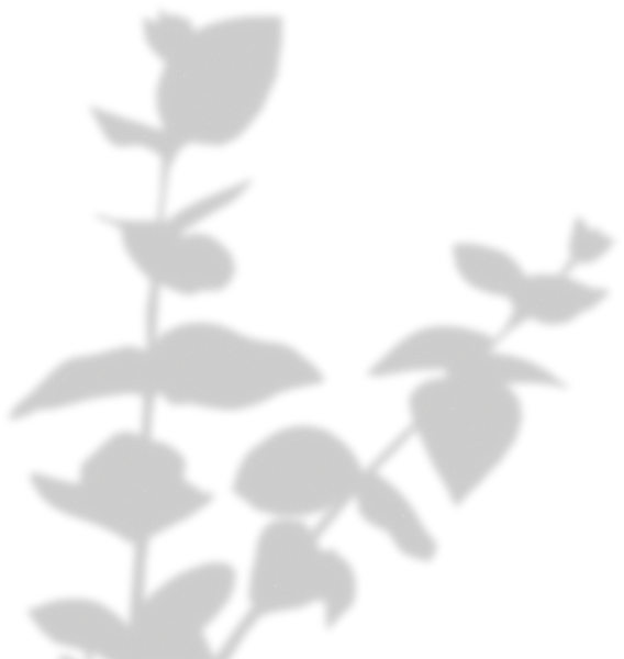 Simple Floral Shadow Stems